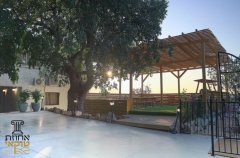 אחוזת טוקאי 25