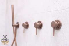 אחוזת טוקאי 32